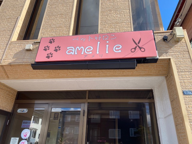 ペットサロンamelie（トリミング　アメリ）の画像3