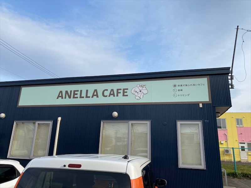 ANELLA CAFE 札幌清田店(動物カフェ)2025年10月30日オープンの画像8