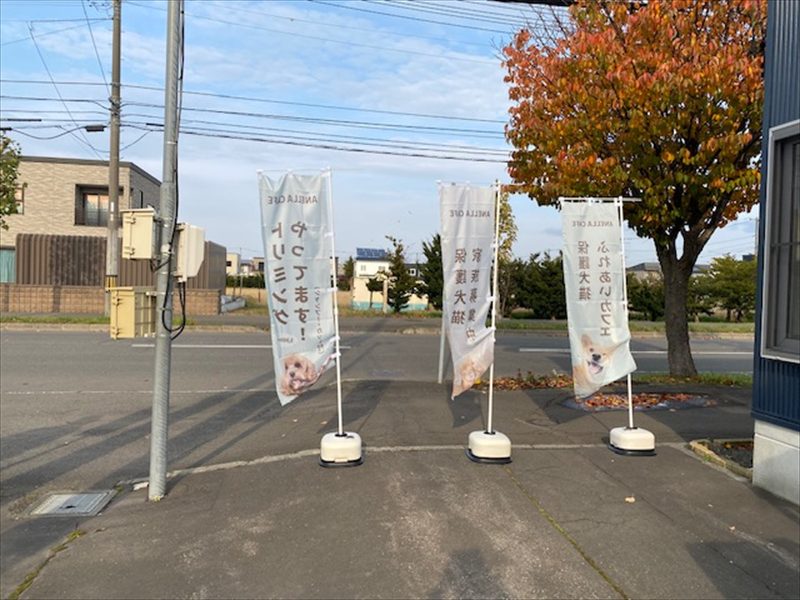 ANELLA CAFE 札幌清田店(動物カフェ)2025年10月30日オープンの画像7