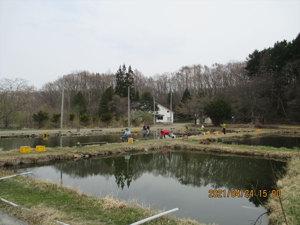フィッシングパーク清田 小林養鯉場の画像8