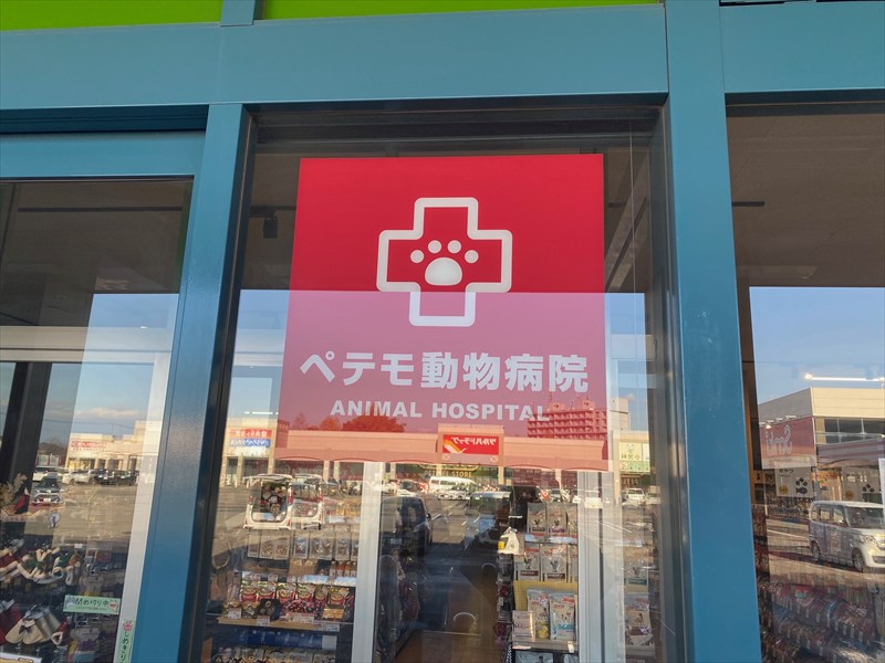 ペテモ札幌平岡店（ペット）の画像5
