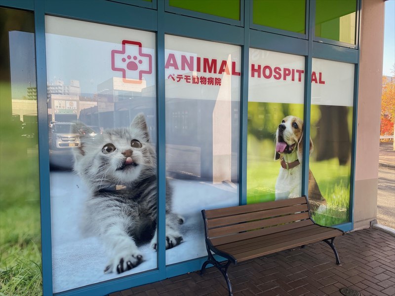 ペテモ札幌平岡店（ペット）の画像4