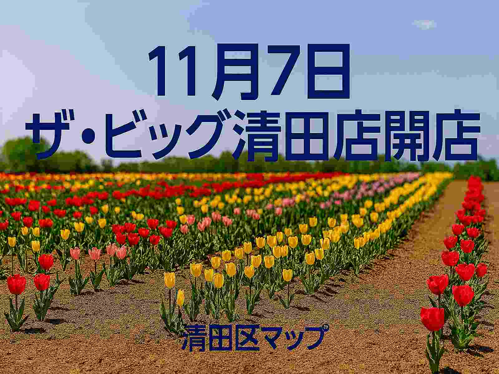 イオン札幌清田店（10月19日をもって一旦営業終了）ザ・ビッグ開店予定の画像2